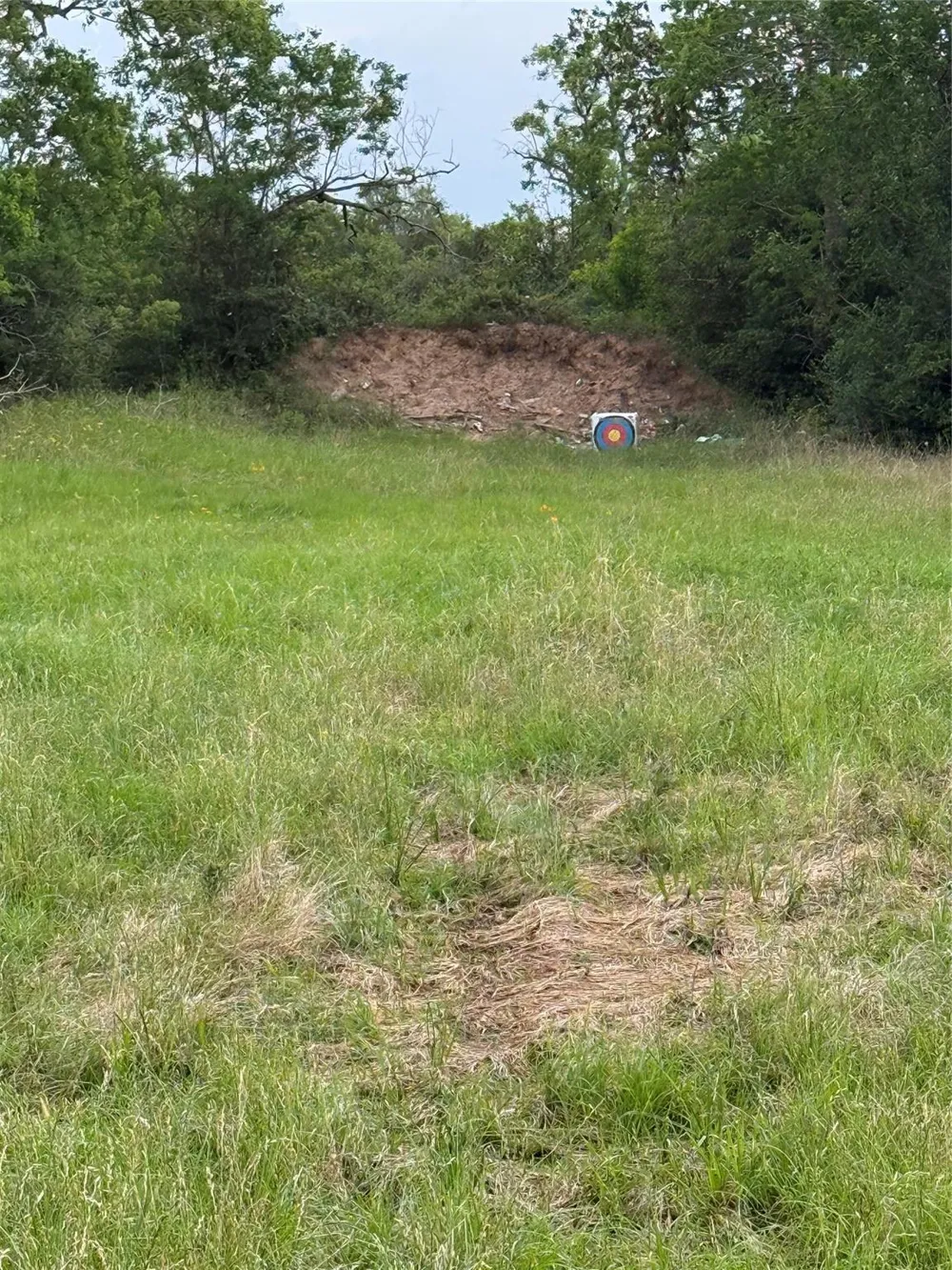 1240 Crooked Road Cat Spring, TX 78933