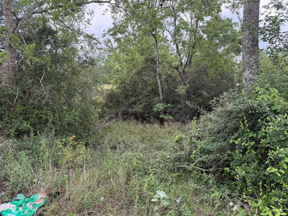 1240 Crooked Road Cat Spring, TX 78933