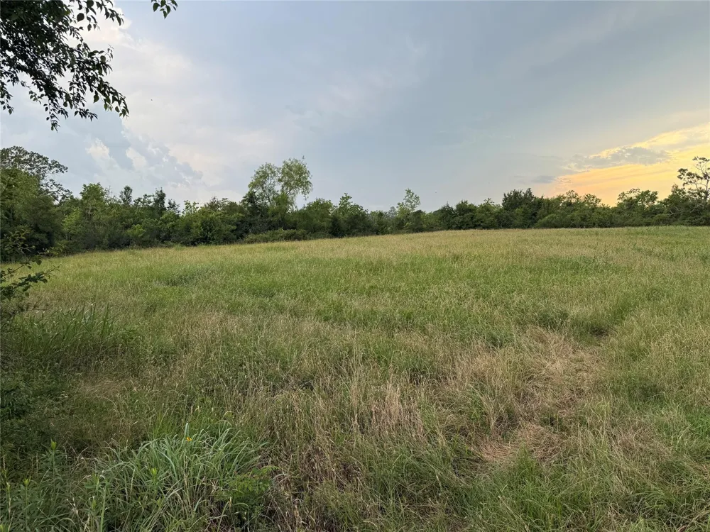 1240 Crooked Road Cat Spring, TX 78933