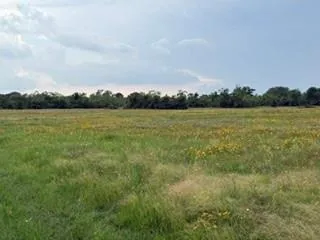 1240 Crooked Road Cat Spring, TX 78933