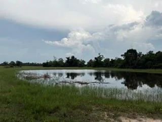 1240 Crooked Road Cat Spring, TX 78933