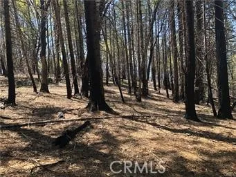 6847 High Valley Lucerne, CA 95458
