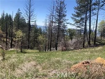 6847 High Valley Lucerne, CA 95458