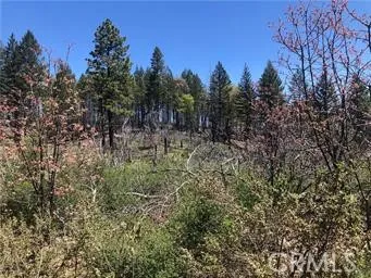 6847 High Valley