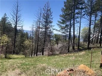 6847 High Valley Lucerne, CA 95458