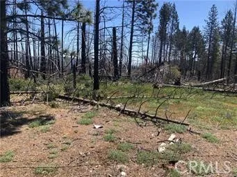 7097 High Valley Lucerne, CA 95458