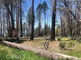 7097 High Valley Lucerne, CA 95458