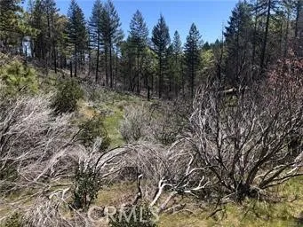 7097 High Valley Lucerne, CA 95458