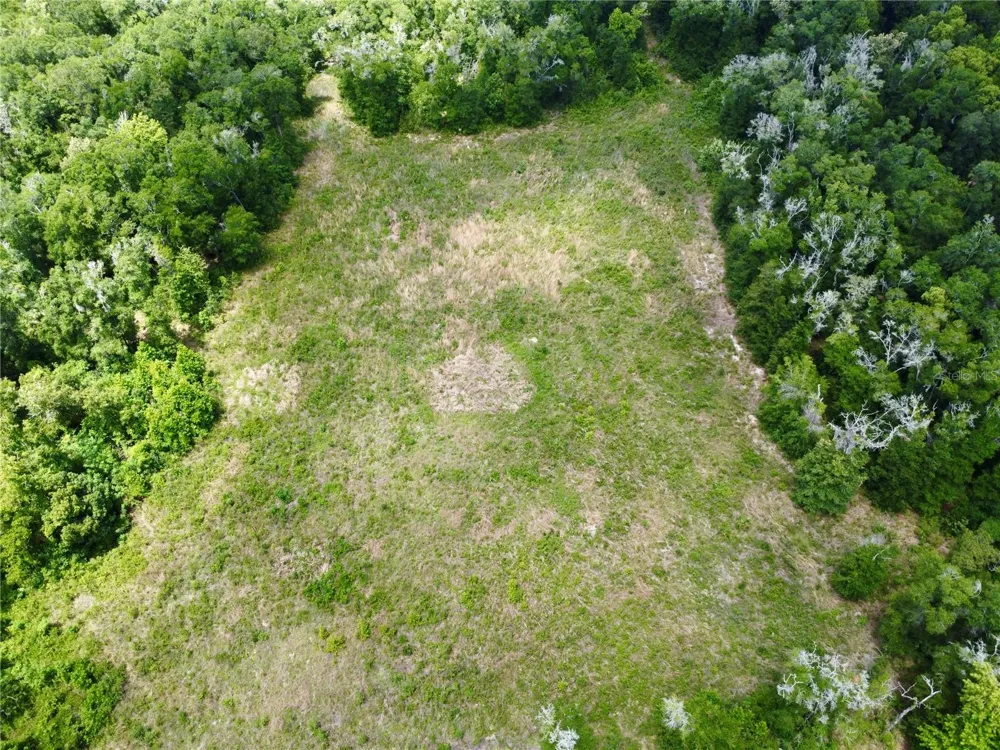 TBD S PINE AVENUE ocala, FL 34480