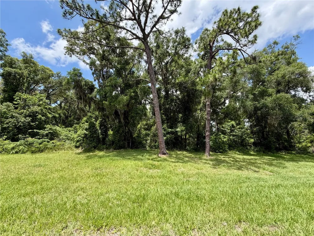 TBD S PINE AVENUE ocala, FL 34480