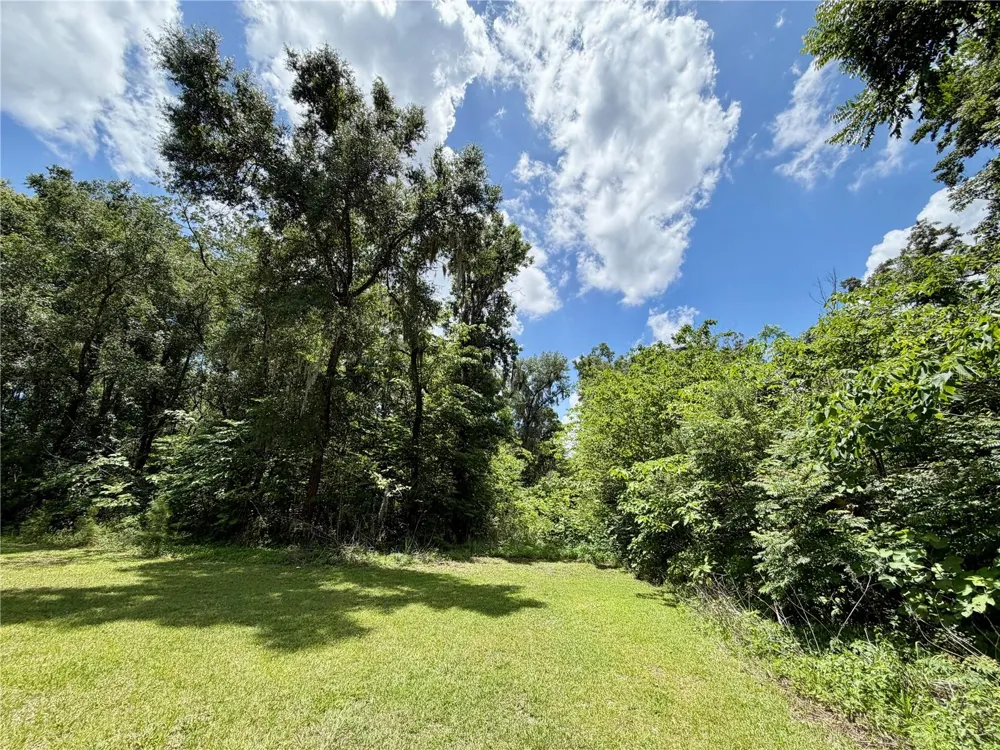 TBD S PINE AVENUE ocala, FL 34480