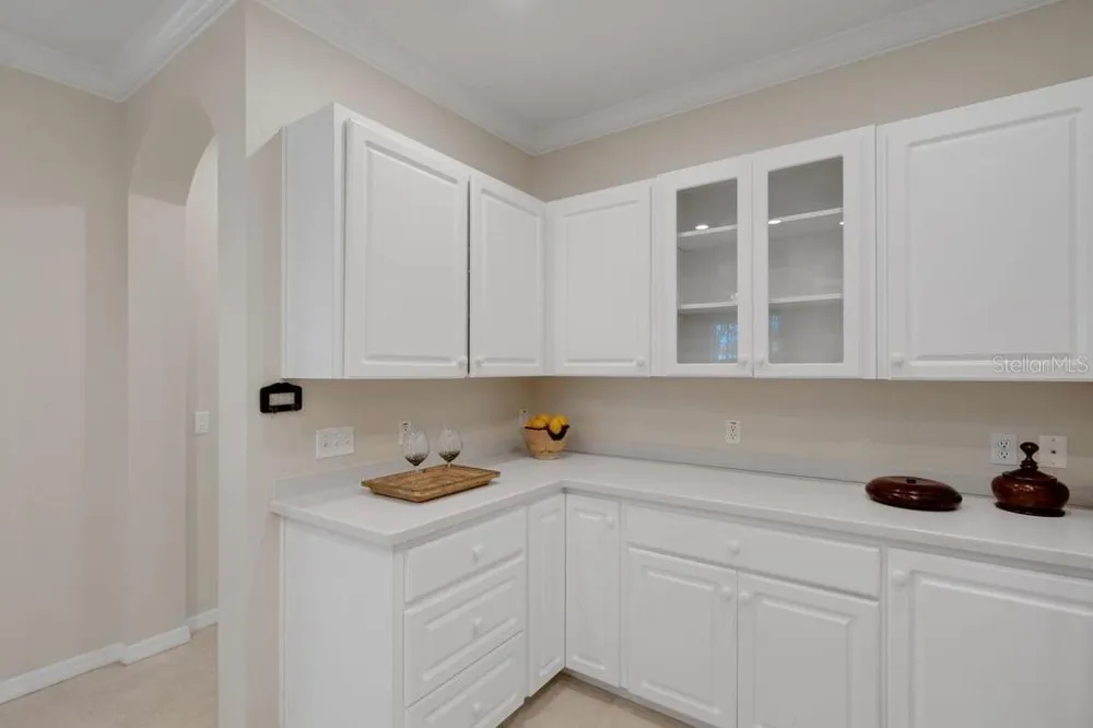684 GRASSLANDS VILLAGE CIRCLE Lakeland, FL 33803