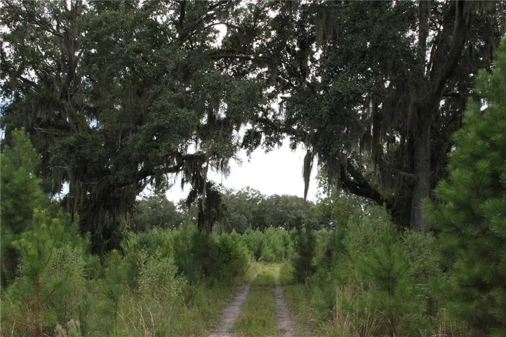 0 Iron Safe Road Brunswick, GA 31523