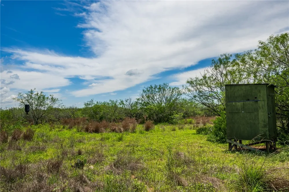 FM 3249 Realitos, TX 78376