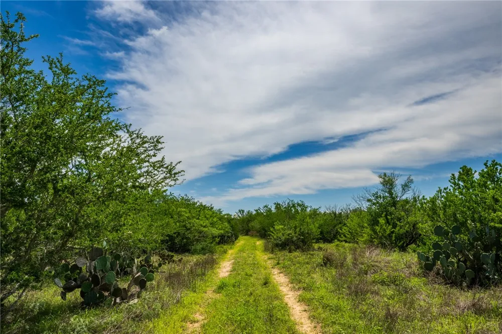 FM 3249 Realitos, TX 78376
