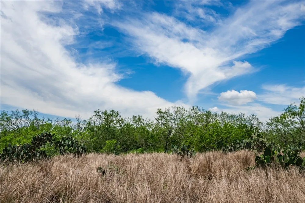 FM 3249 Realitos, TX 78376