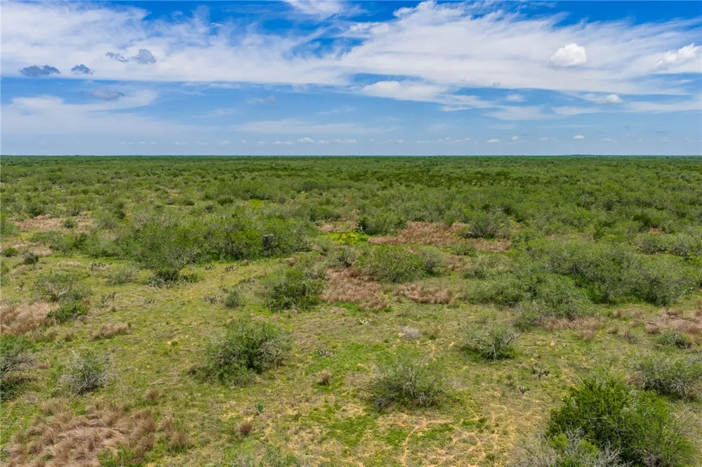FM 3249 Realitos, TX 78376