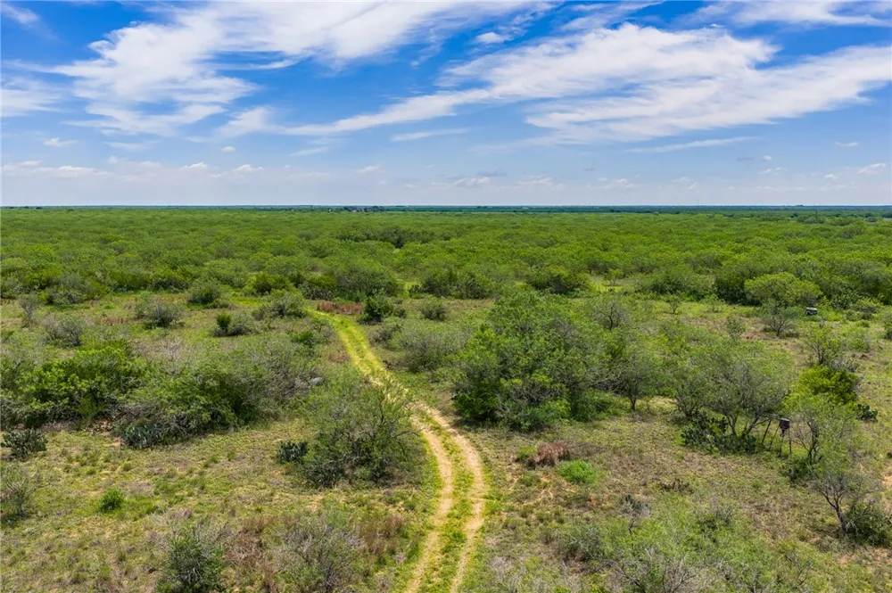 FM 3249 Realitos, TX 78376