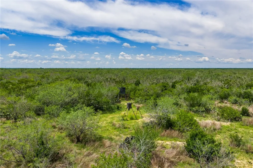 FM 3249 Realitos, TX 78376