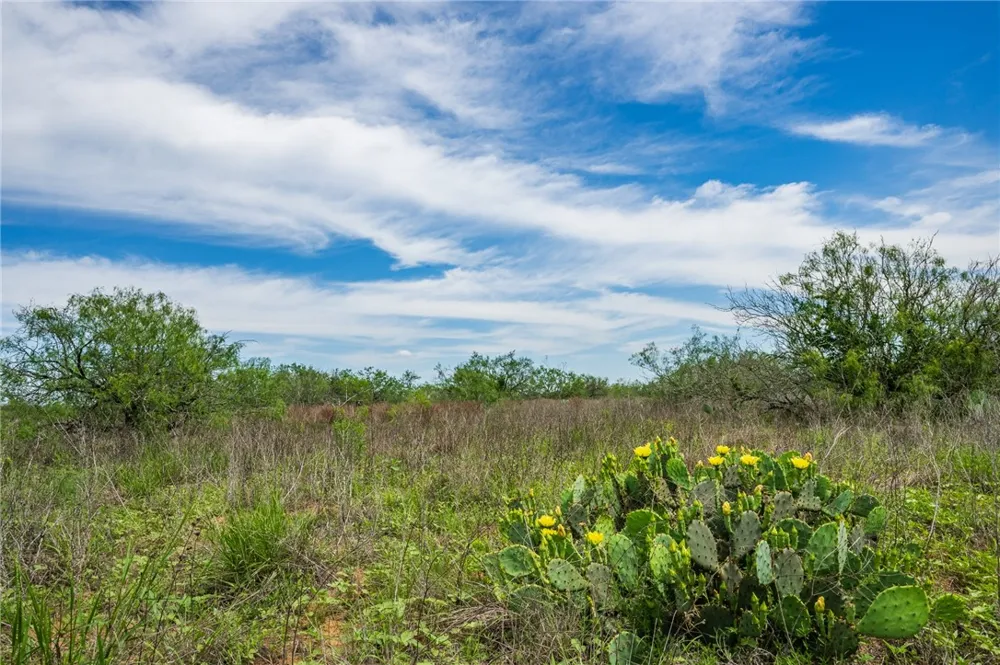FM 3249 Realitos, TX 78376