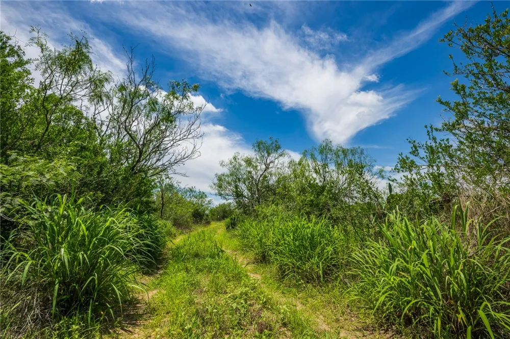 FM 3249 Realitos, TX 78376