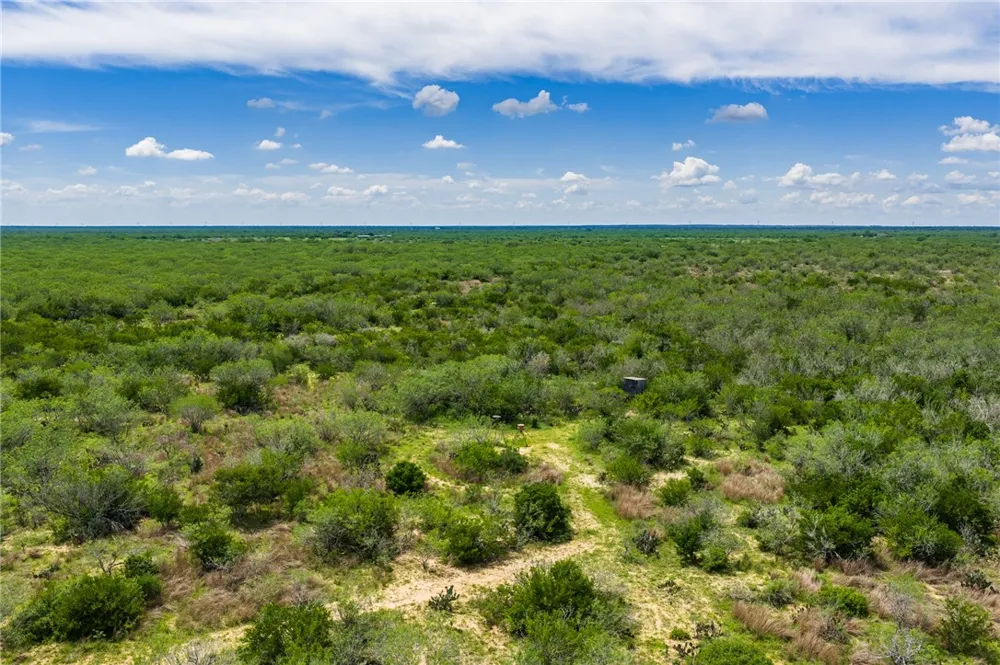 FM 3249 Realitos, TX 78376