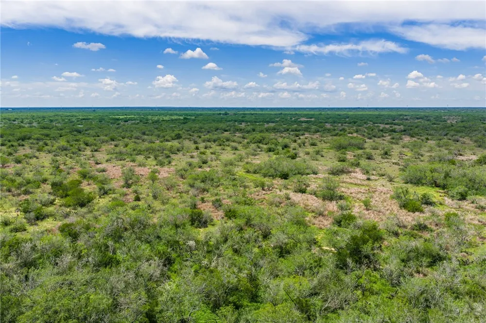 FM 3249 Realitos, TX 78376