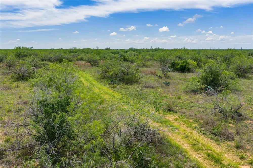 FM 3249 Realitos, TX 78376