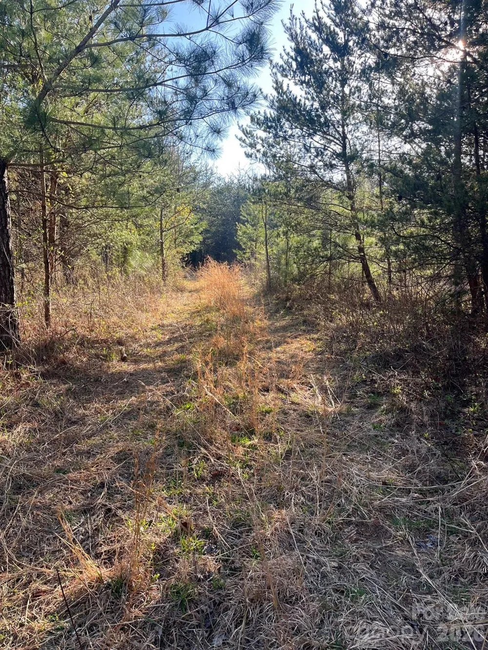 TBD Southern Way Nebo, NC 28761