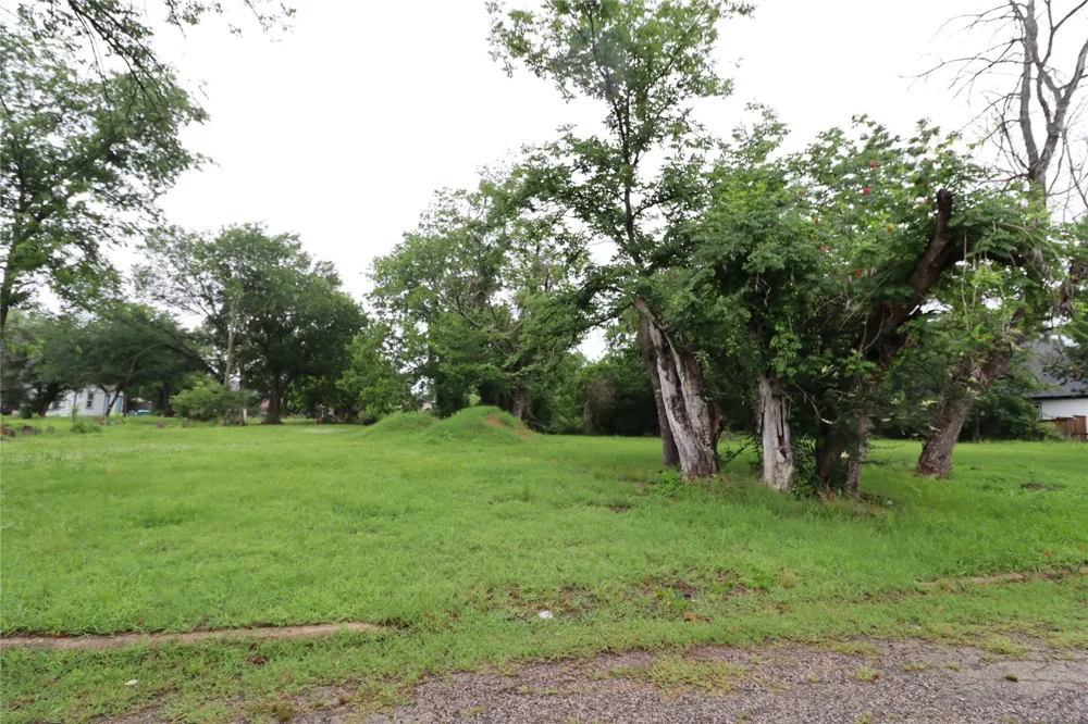 118 Norris Street Commerce, TX 75428
