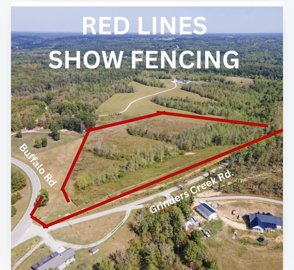 2047 Buffalo Rd Hohenwald, TN 38462