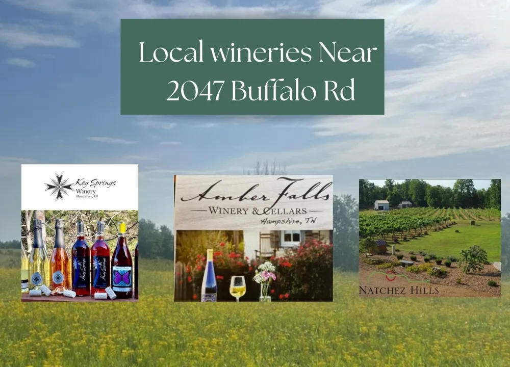 2047 Buffalo Rd Hohenwald, TN 38462