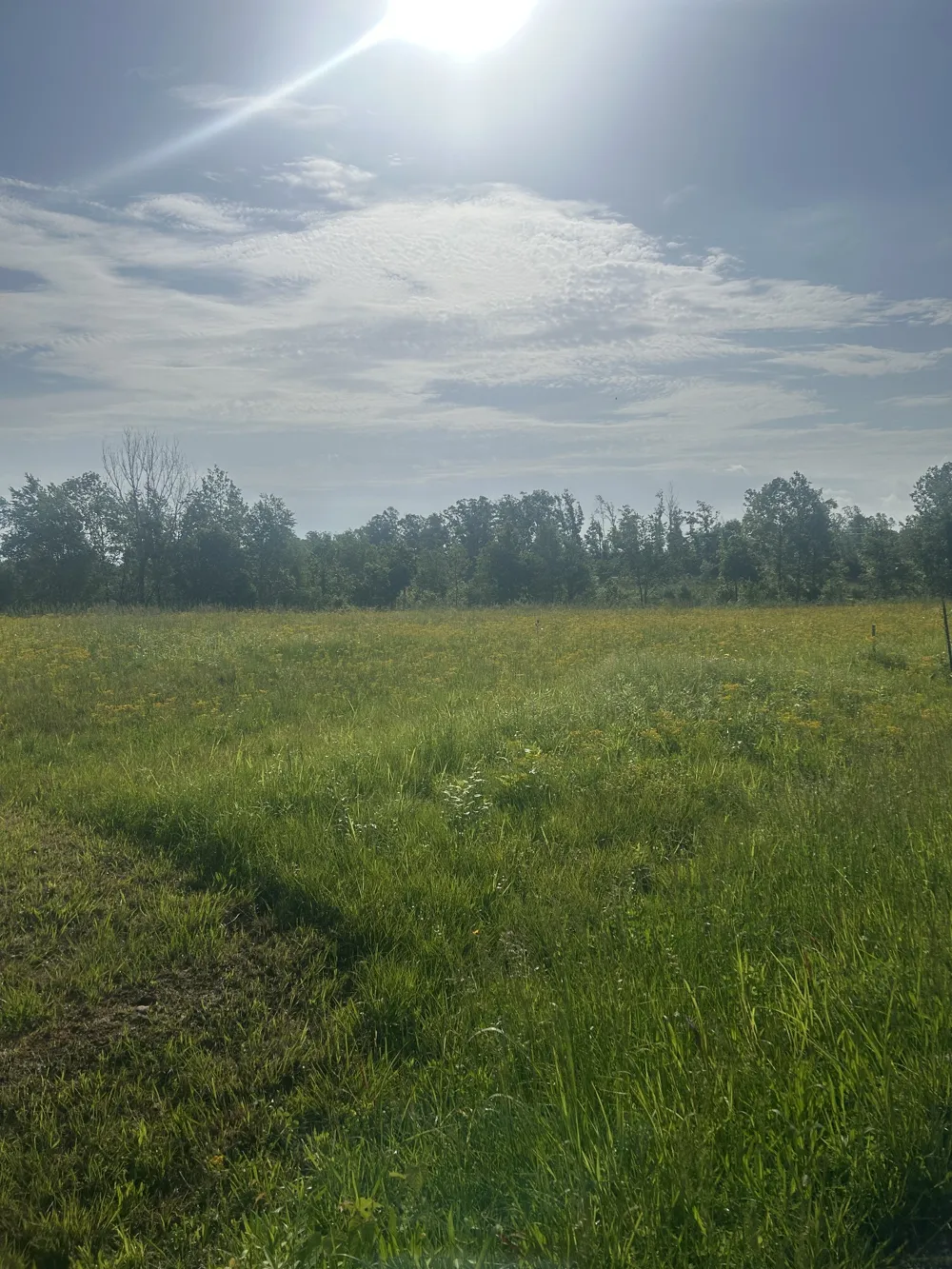 2047 Buffalo Rd Hohenwald, TN 38462
