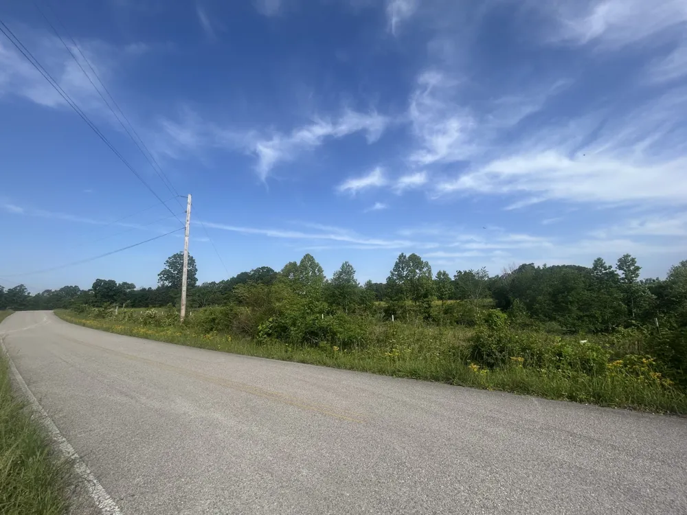 2047 Buffalo Rd Hohenwald, TN 38462