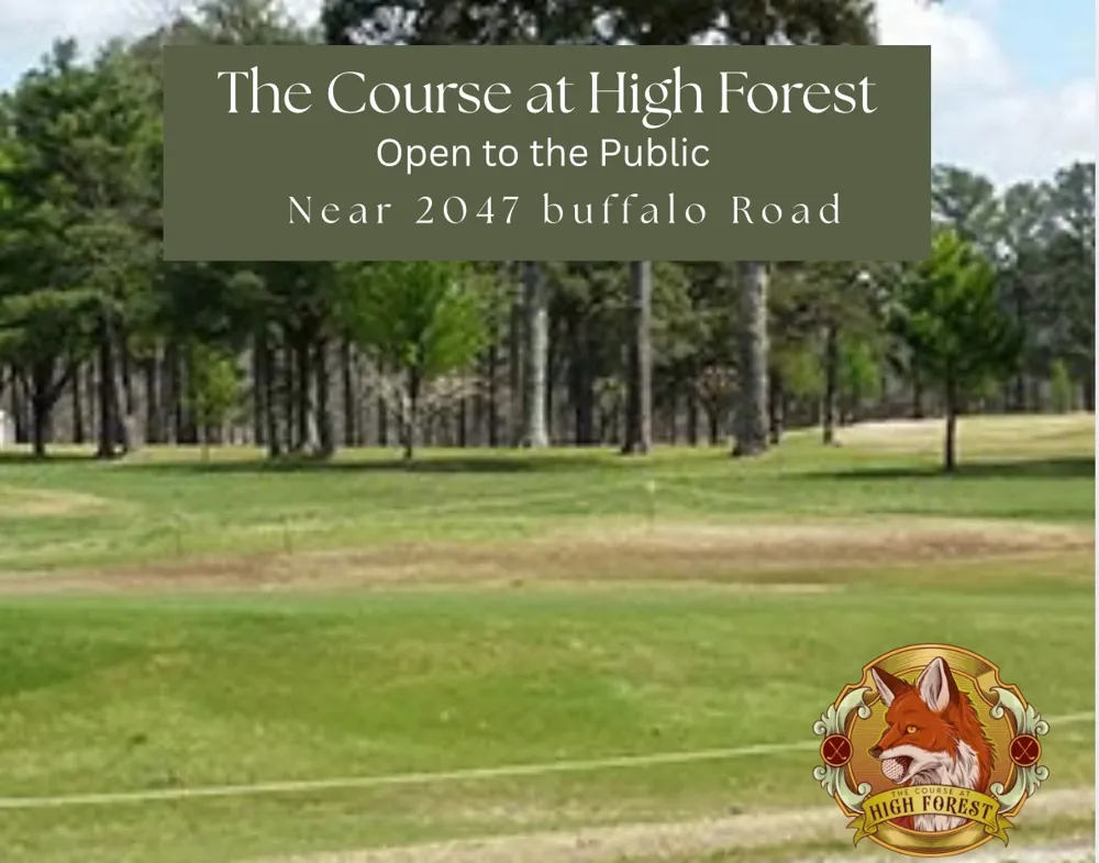 2047 Buffalo Rd Hohenwald, TN 38462