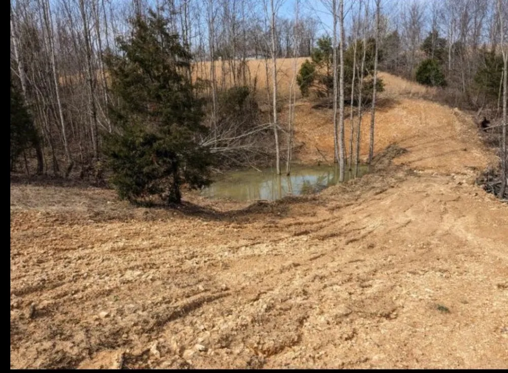 2047 Buffalo Rd Hohenwald, TN 38462