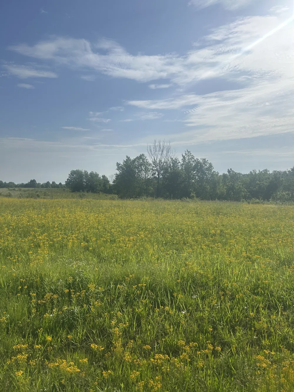 2047 Buffalo Rd Hohenwald, TN 38462