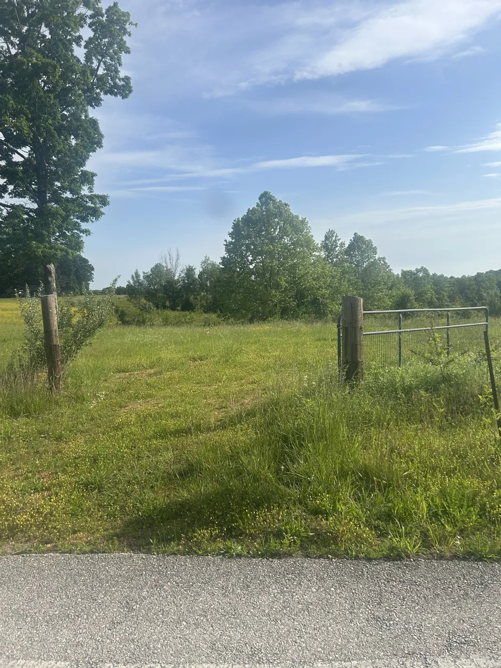 2047 Buffalo Rd Hohenwald, TN 38462