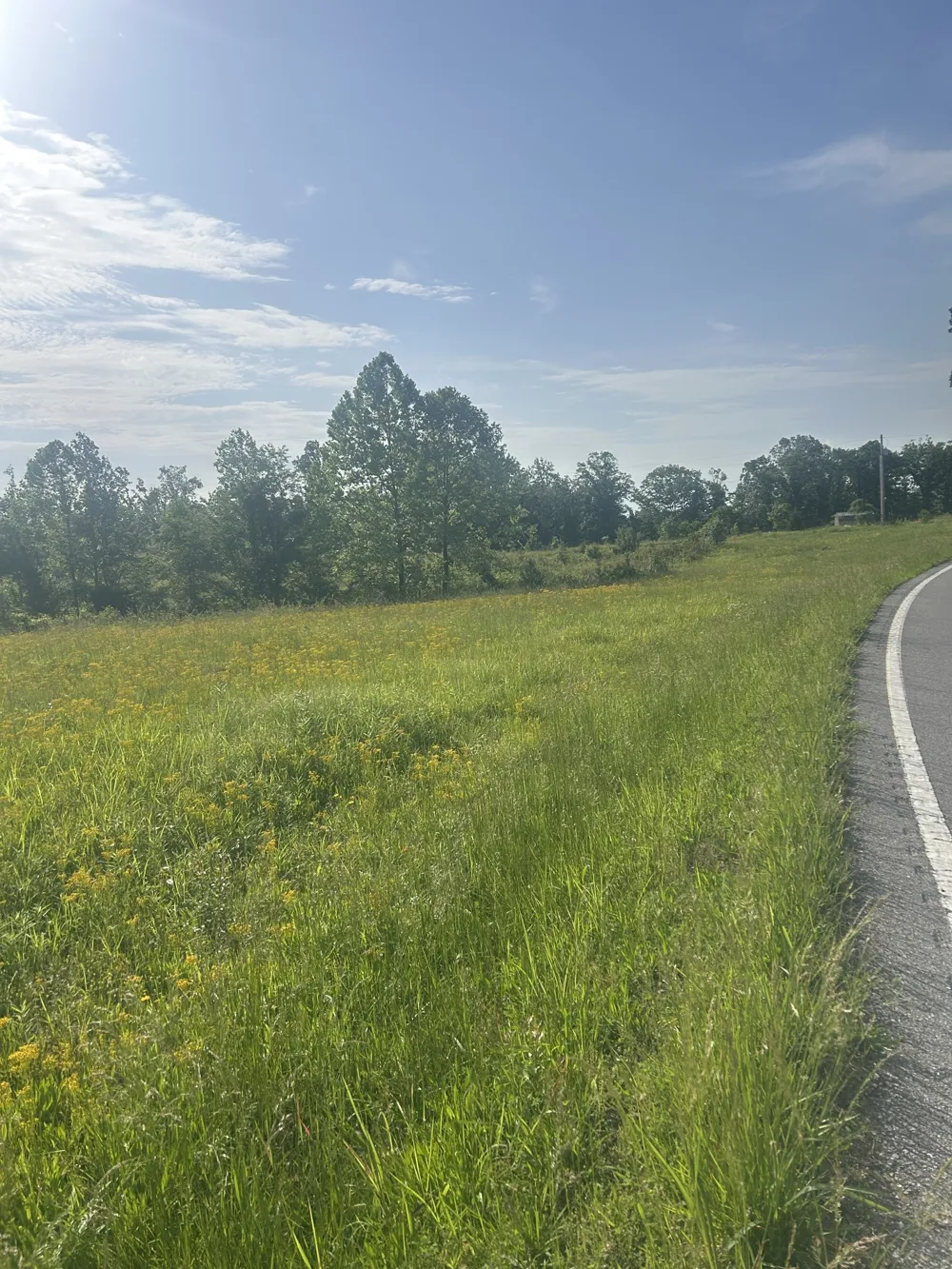 2047 Buffalo Rd Hohenwald, TN 38462