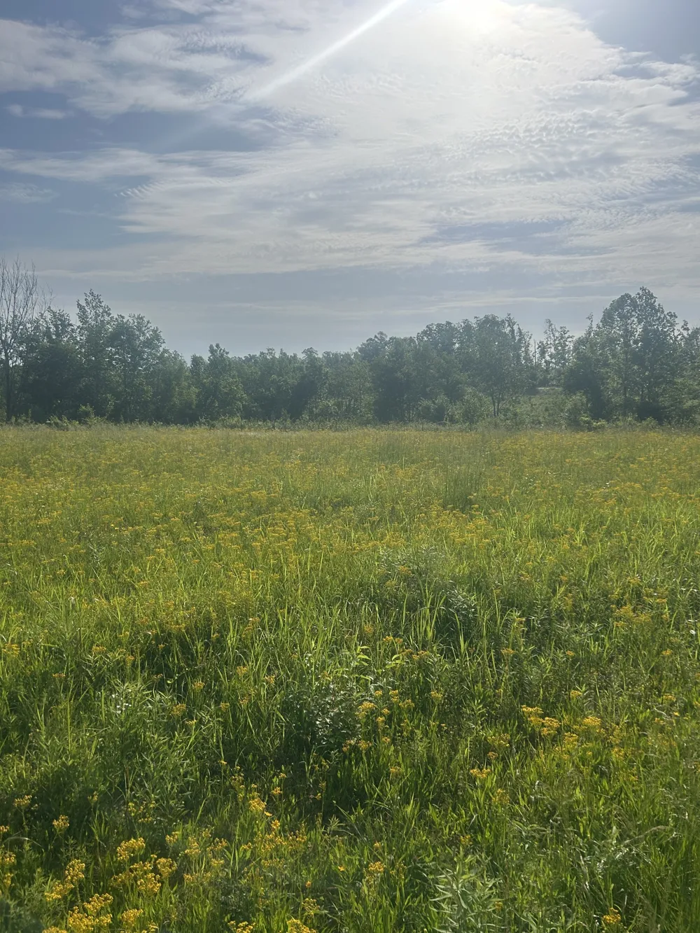 2047 Buffalo Rd Hohenwald, TN 38462