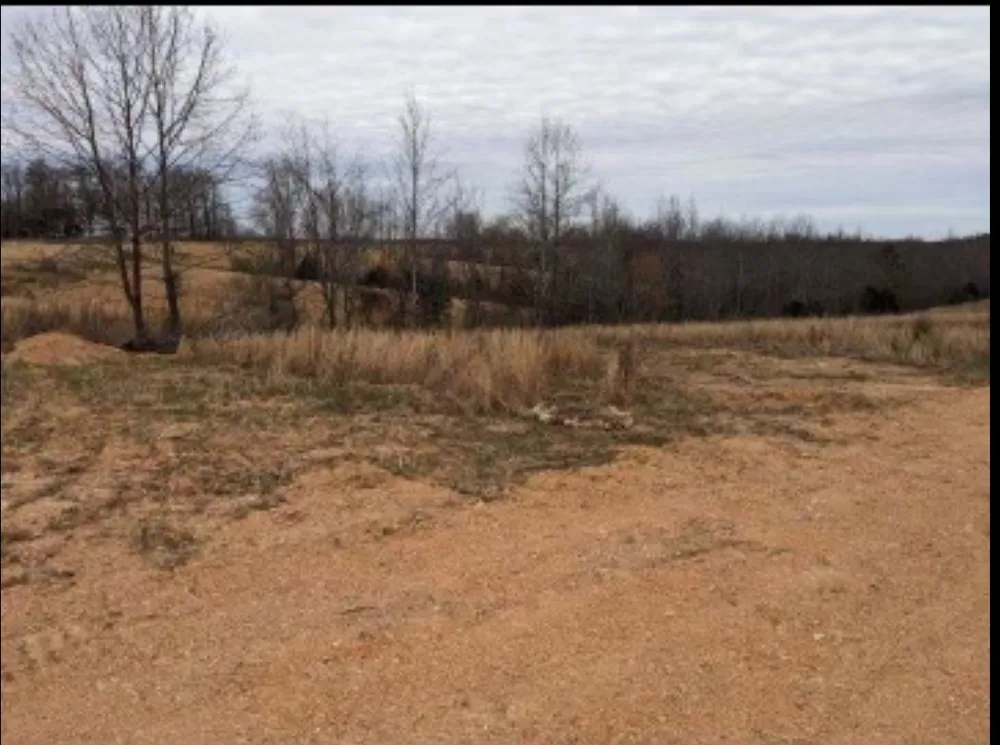 2047 Buffalo Rd Hohenwald, TN 38462