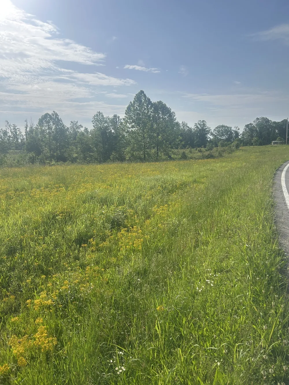 2047 Buffalo Rd Hohenwald, TN 38462