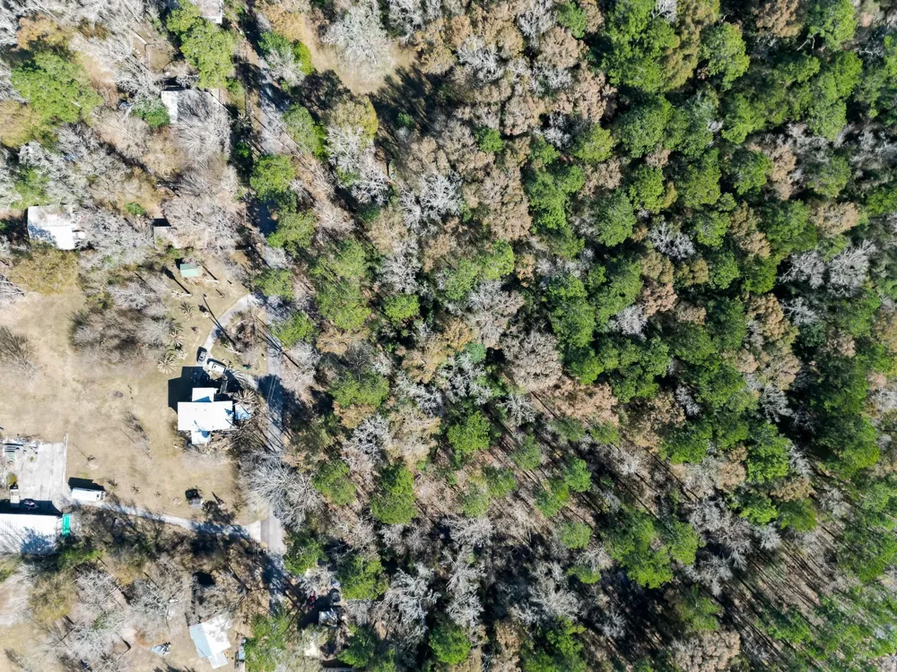 Dunnam Road Kingwood, TX 77345