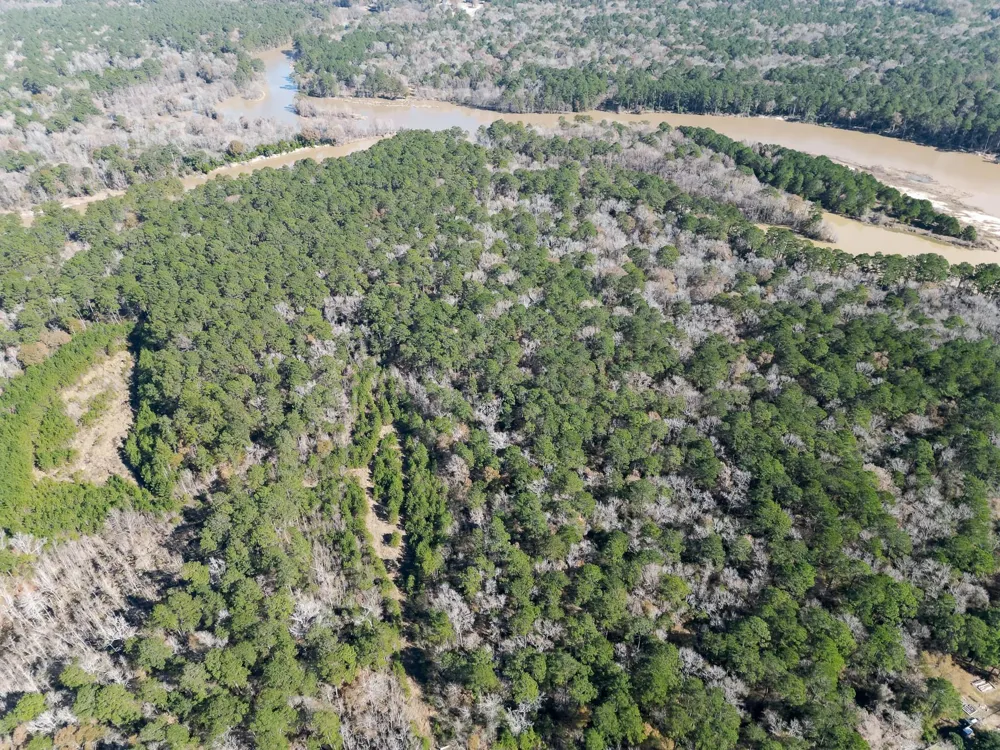 Dunnam Road Kingwood, TX 77345