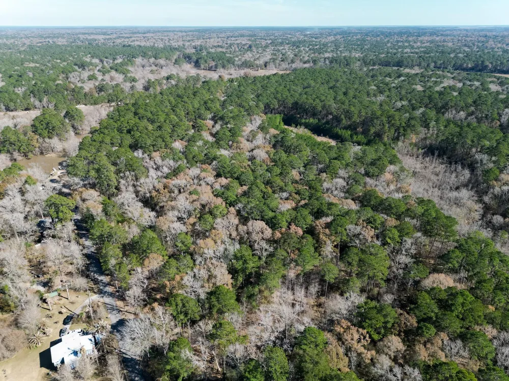 Dunnam Road Kingwood, TX 77345