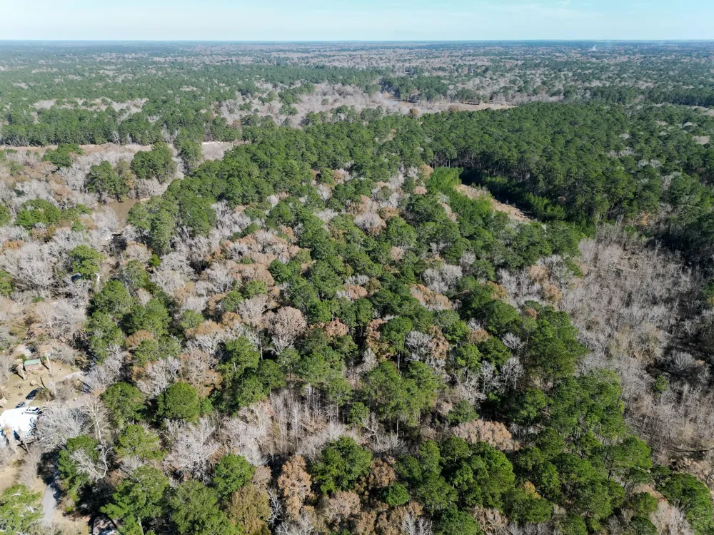 Dunnam Road Kingwood, TX 77345