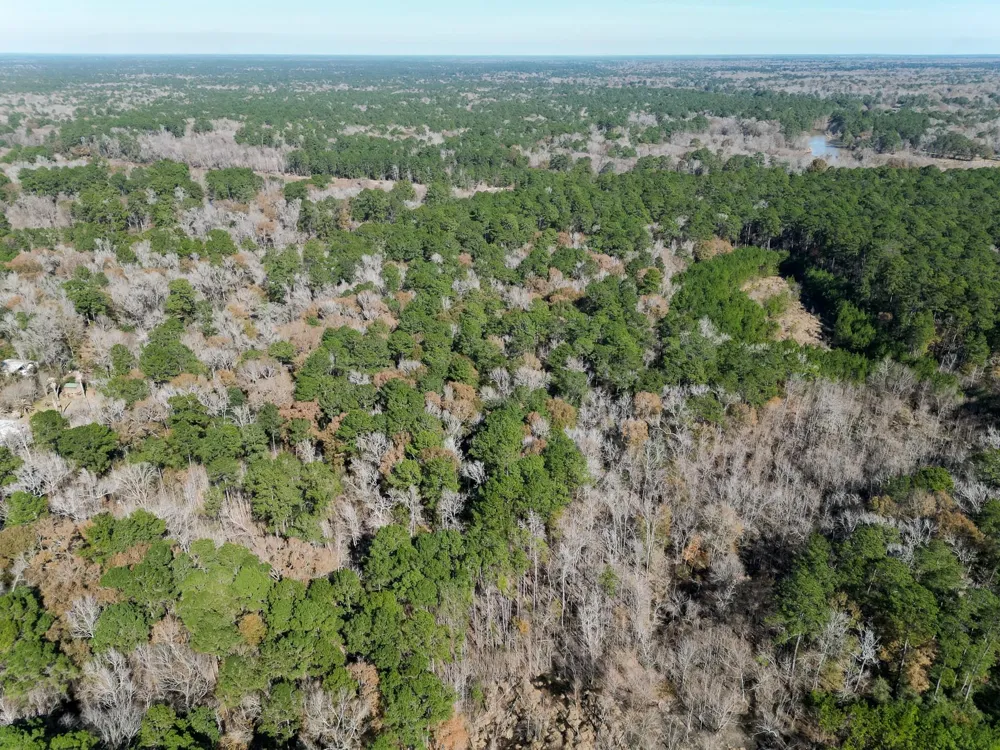 Dunnam Road Kingwood, TX 77345