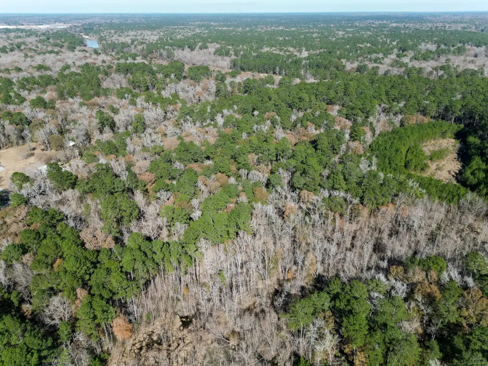 Dunnam Road Kingwood, TX 77345