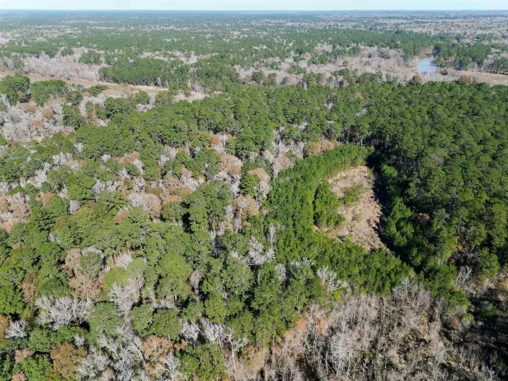 Dunnam Road Kingwood, TX 77345
