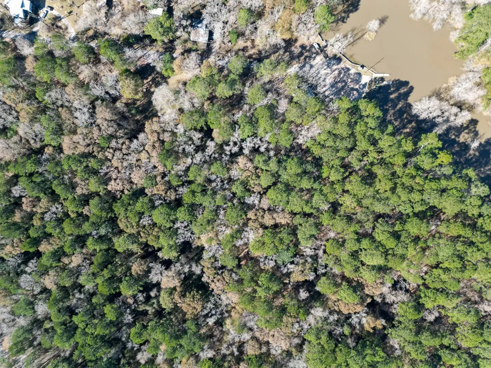 Dunnam Road Kingwood, TX 77345